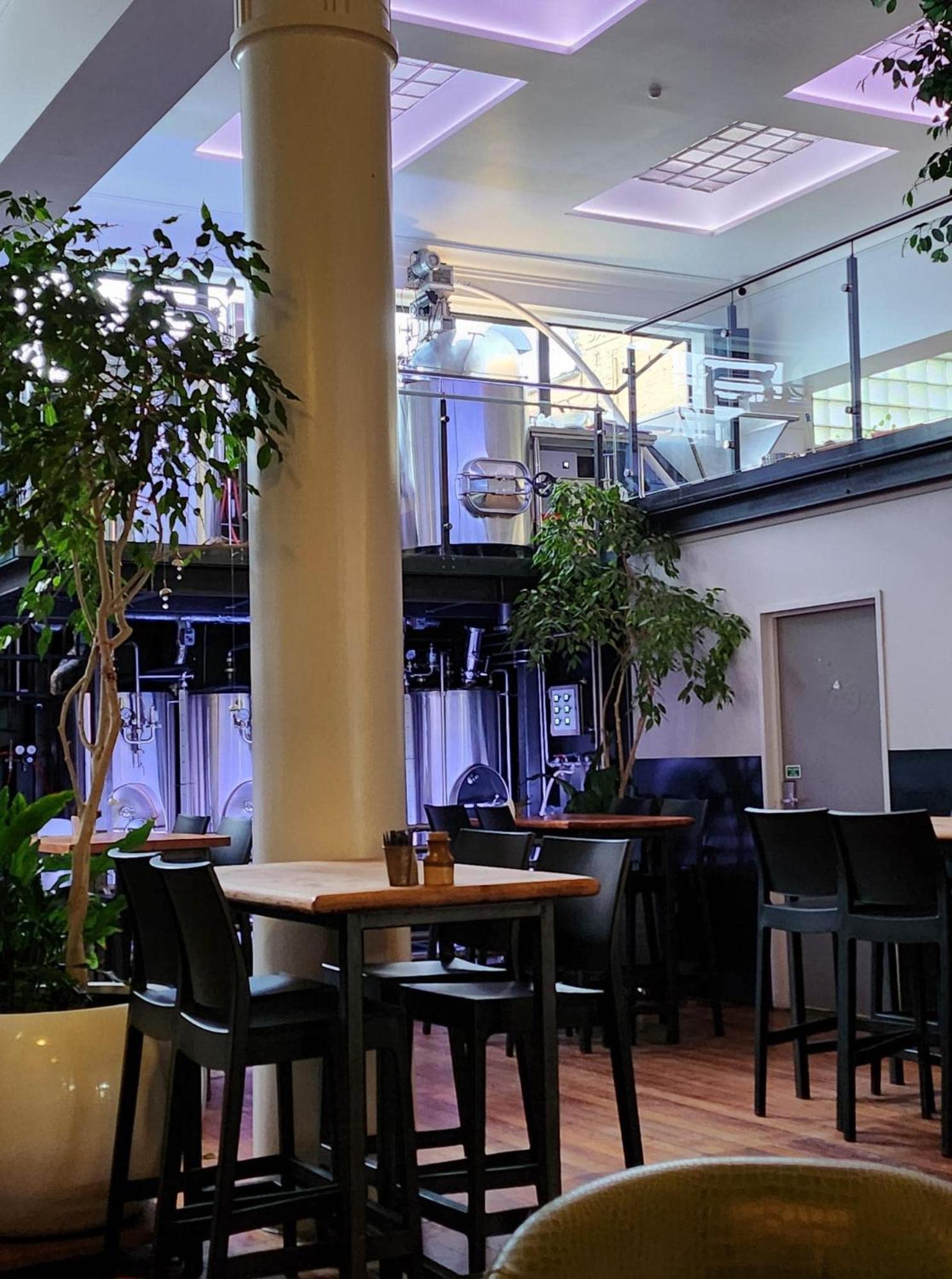 Tuatara Hostel *